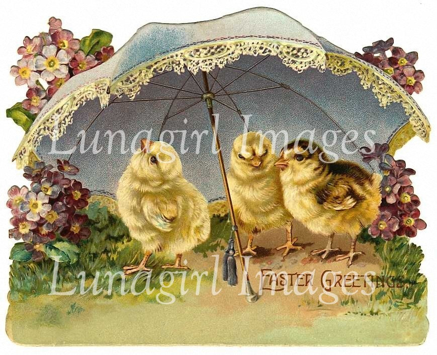 Easter Chickens Images Download Pack - Lunagirl