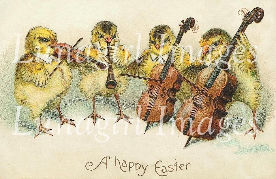 Easter Chickens Images Download Pack - Lunagirl