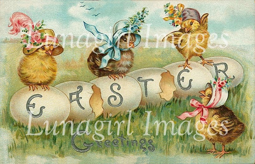 Easter Chickens Images Download Pack - Lunagirl