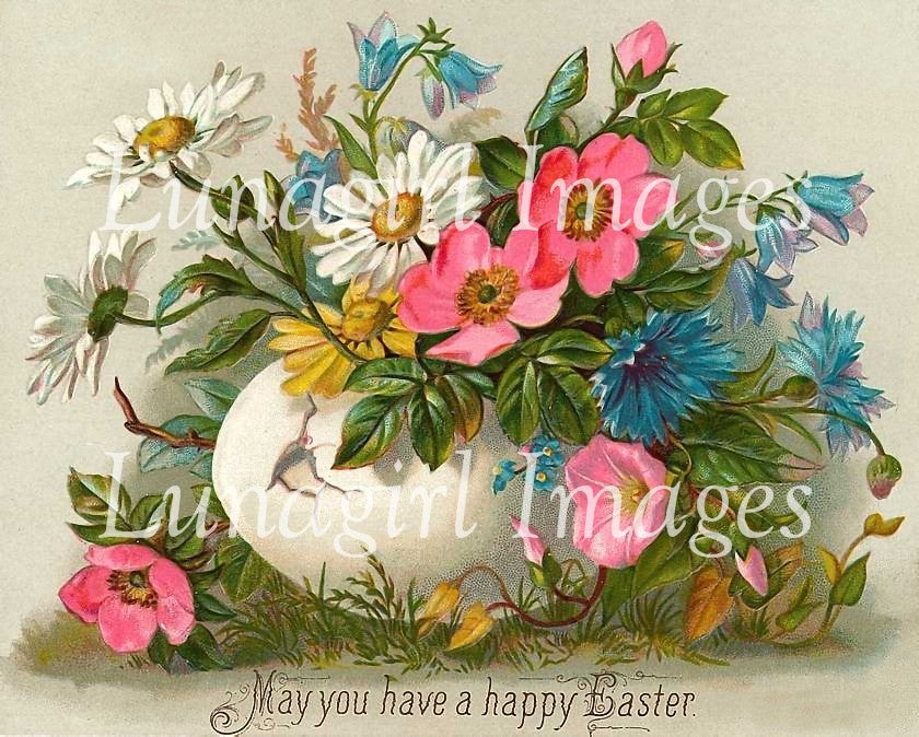 Easter Chickens Images Download Pack - Lunagirl