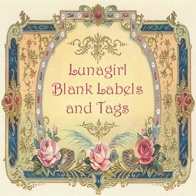 Victorian Vintage Blank Labels: 600 Labels Frames & Tags - Lunagirl