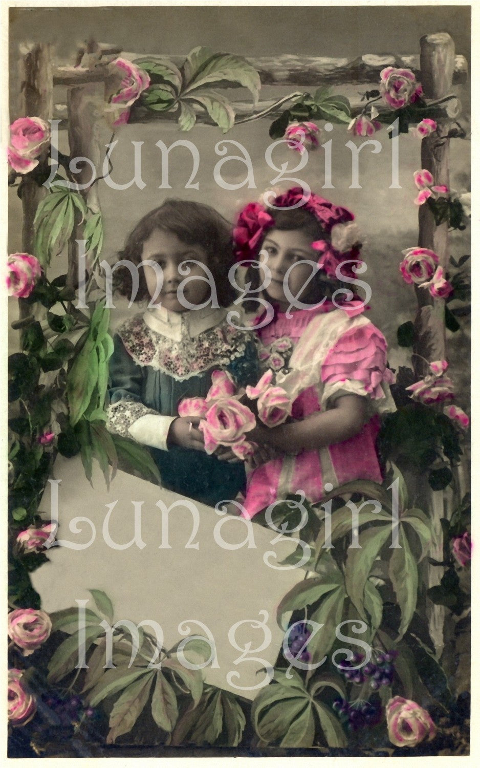 Photo Postcard Blank Labels: 100 Images - Lunagirl