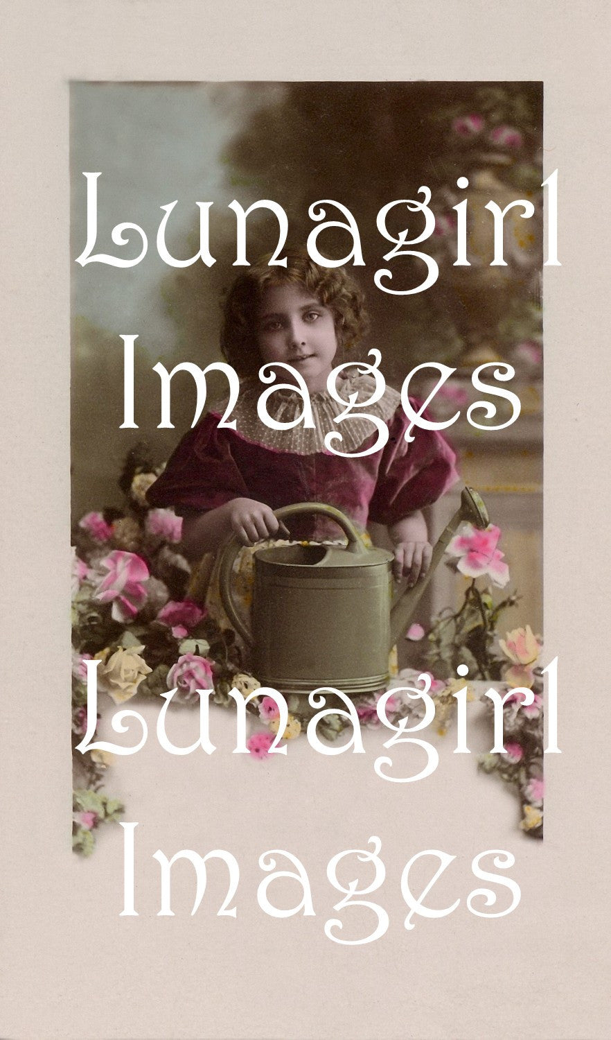 Photo Postcard Blank Labels: 100 Images - Lunagirl