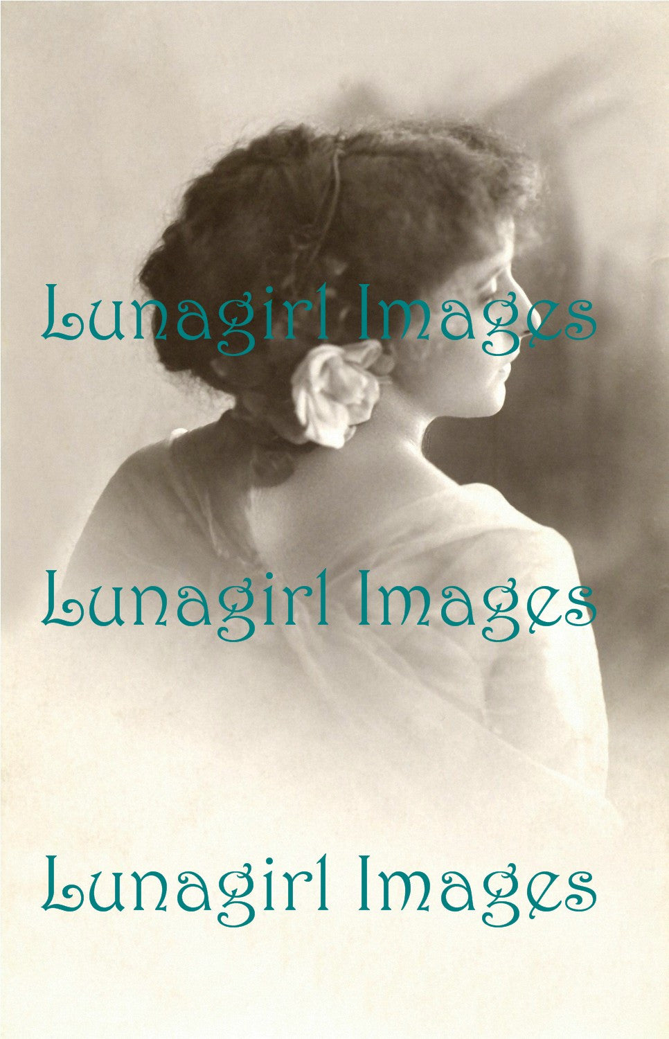 Photo Postcard Blank Labels: 100 Images - Lunagirl