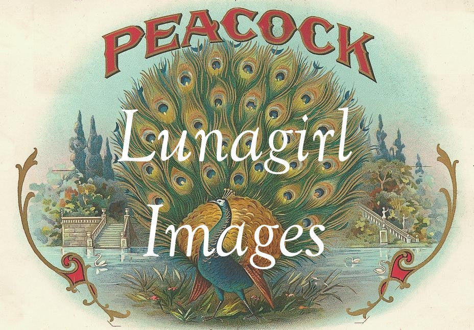 Victorian Birds: 500 Images - Lunagirl