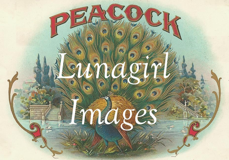 55 Birds Vintage Labels Download Pack - Lunagirl