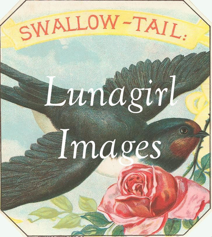 55 Birds Vintage Labels Download Pack - Lunagirl