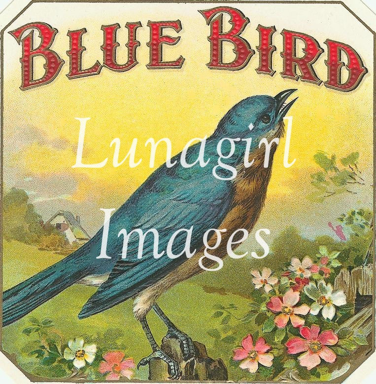 55 Birds Vintage Labels Download Pack - Lunagirl