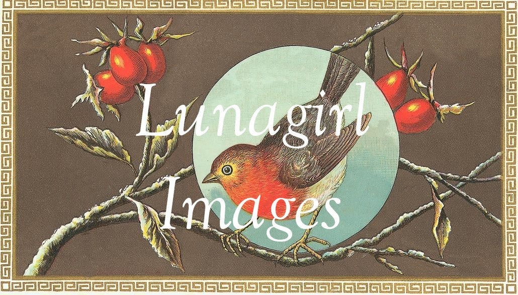 55 Birds Vintage Labels Download Pack - Lunagirl