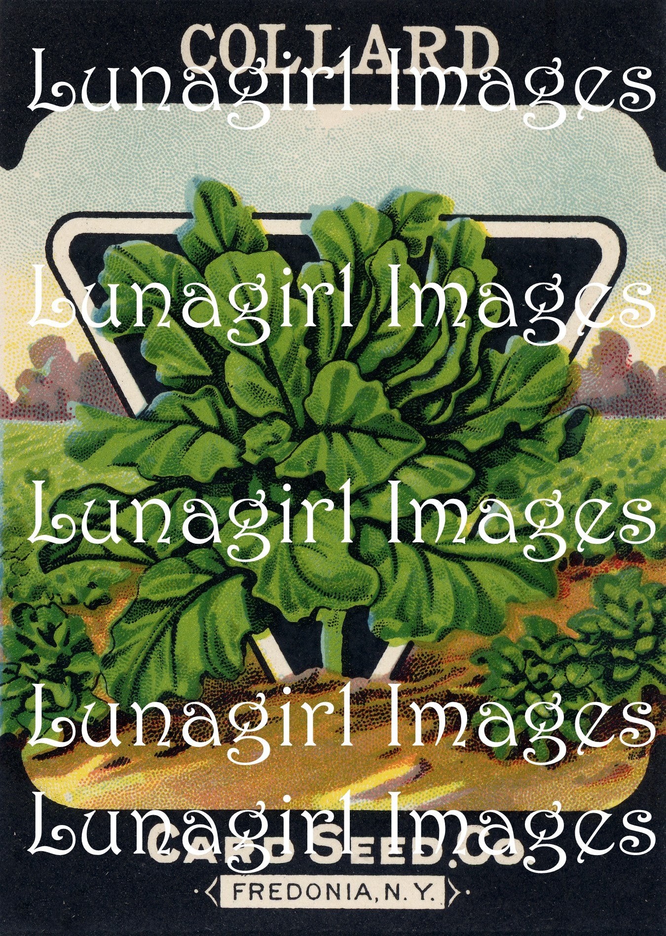 Antique Seed Packet Lithographs: 80 Images - Lunagirl