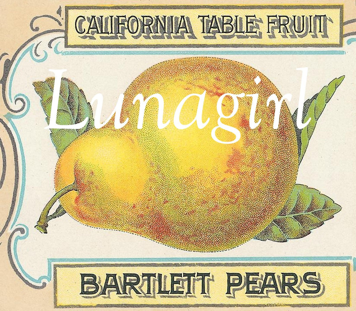 Vintage Can & Crate Labels: 400 Images - Lunagirl