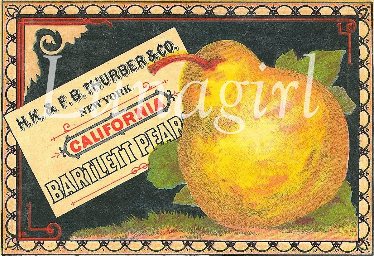 Vintage Can & Crate Labels: 400 Images - Lunagirl