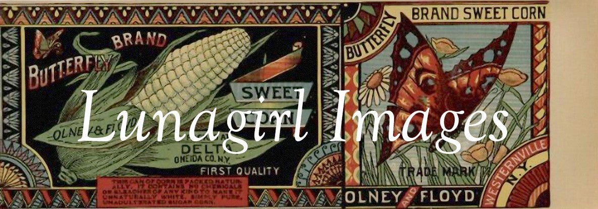 Vintage Can & Crate Labels: 400 Images - Lunagirl