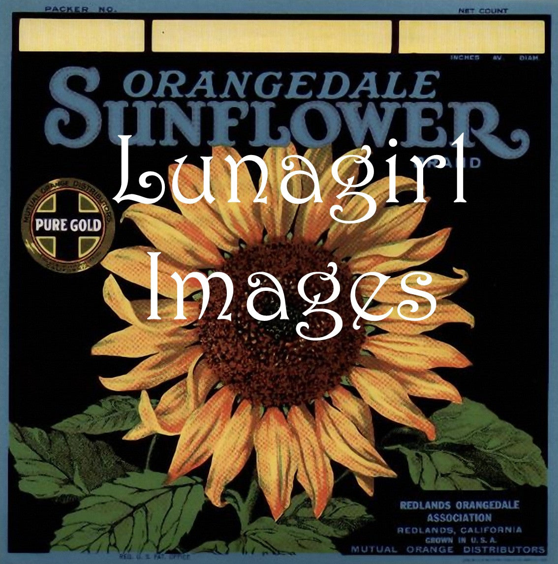 Vintage Can & Crate Labels: 400 Images - Lunagirl
