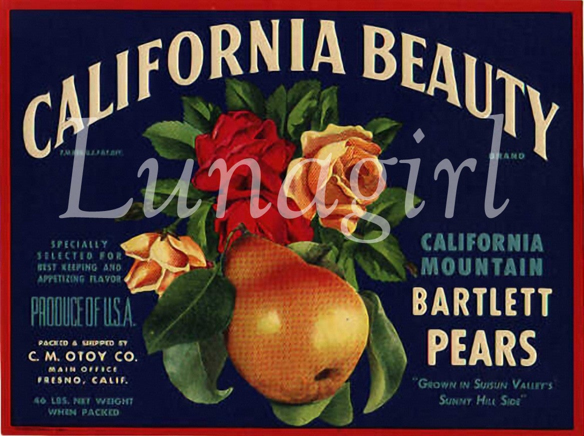 Vintage Can & Crate Labels: 400 Images - Lunagirl