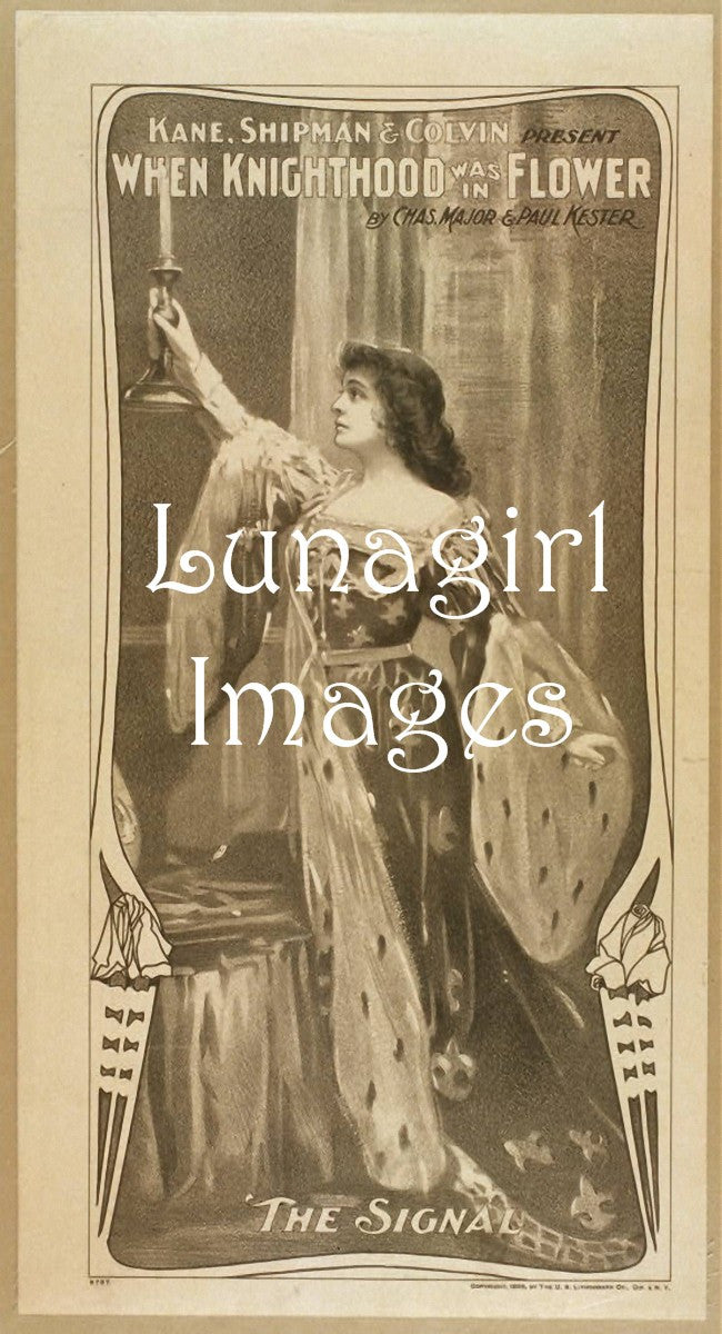 Vintage Theater Posters: Actors Actresses Drama & Operetta: 700 Images - Lunagirl