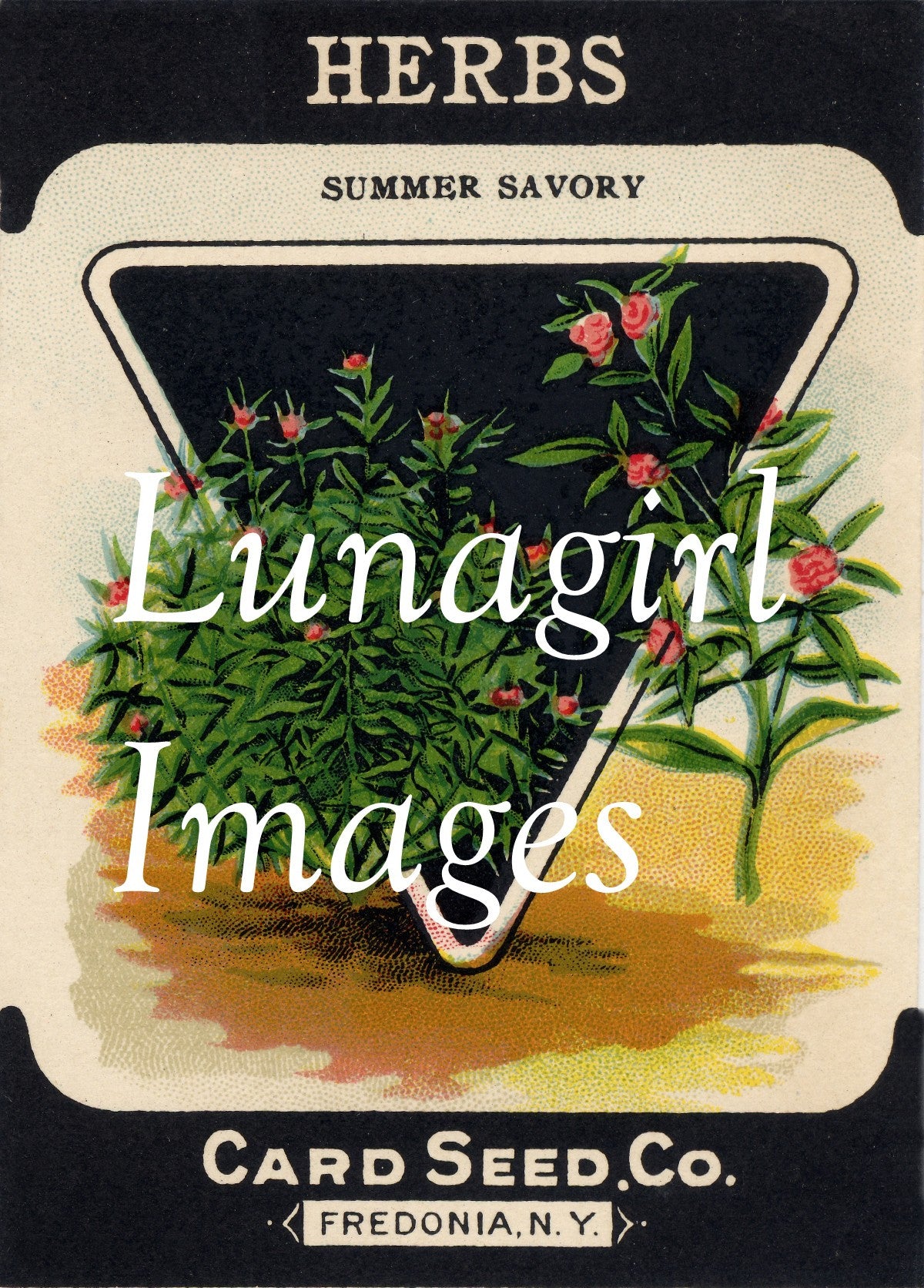 Antique Seed Packet Lithographs: 80 Images - Lunagirl