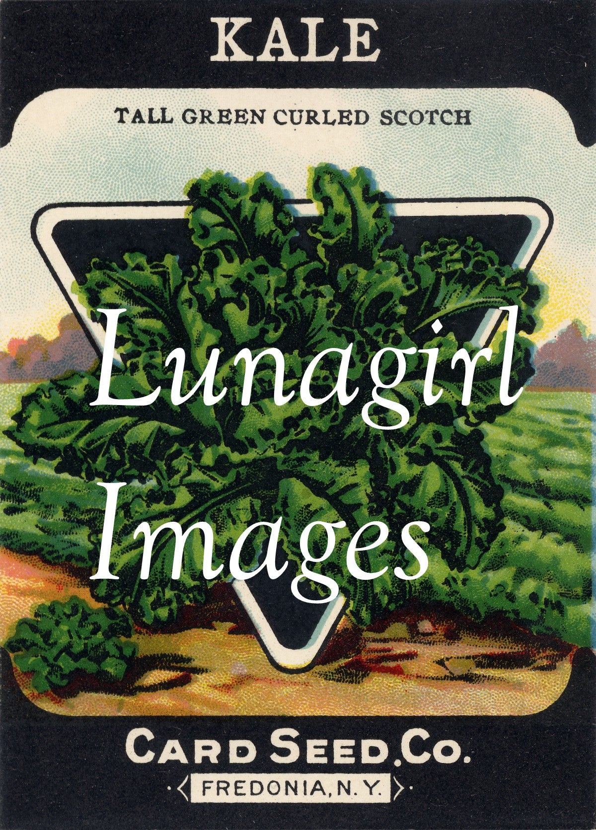 Antique Seed Packet Lithographs: 80 Images - Lunagirl