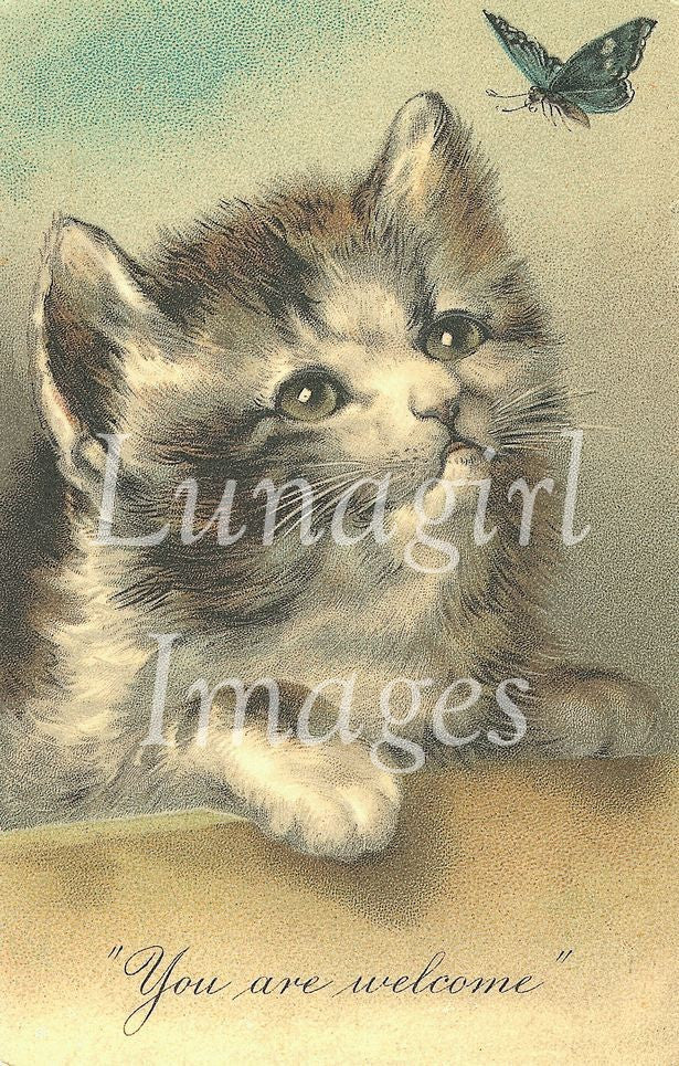 Vintage Victorian Animals: 950 Images - Lunagirl