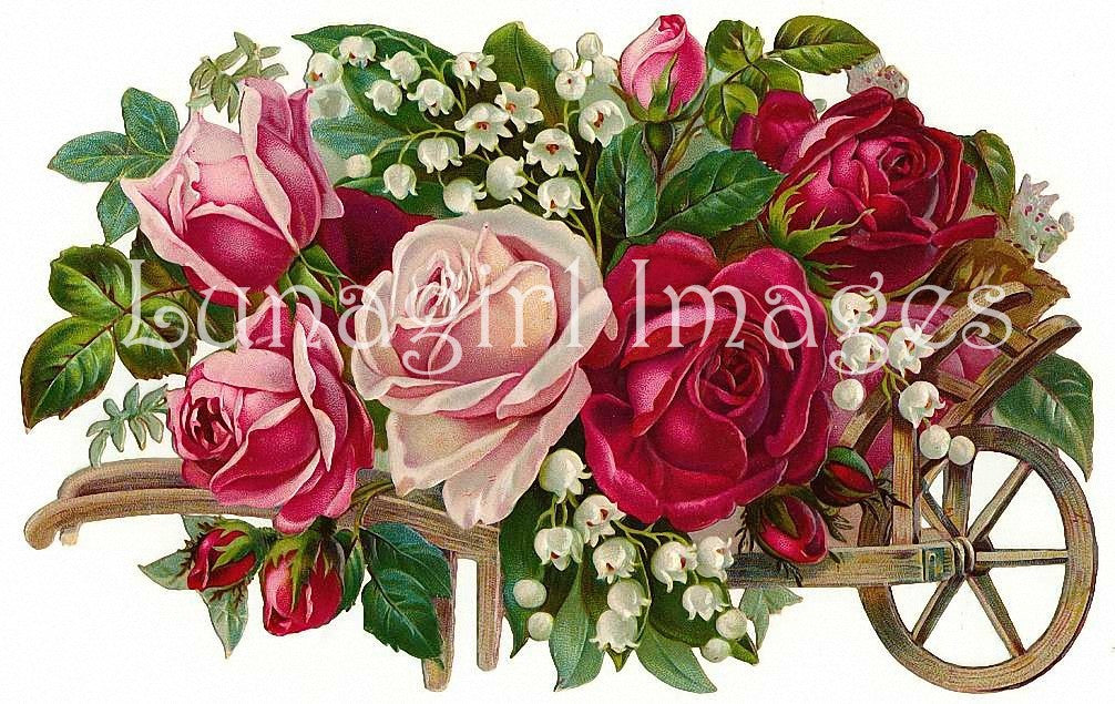 Victorian Flowers: 900 Images - Lunagirl