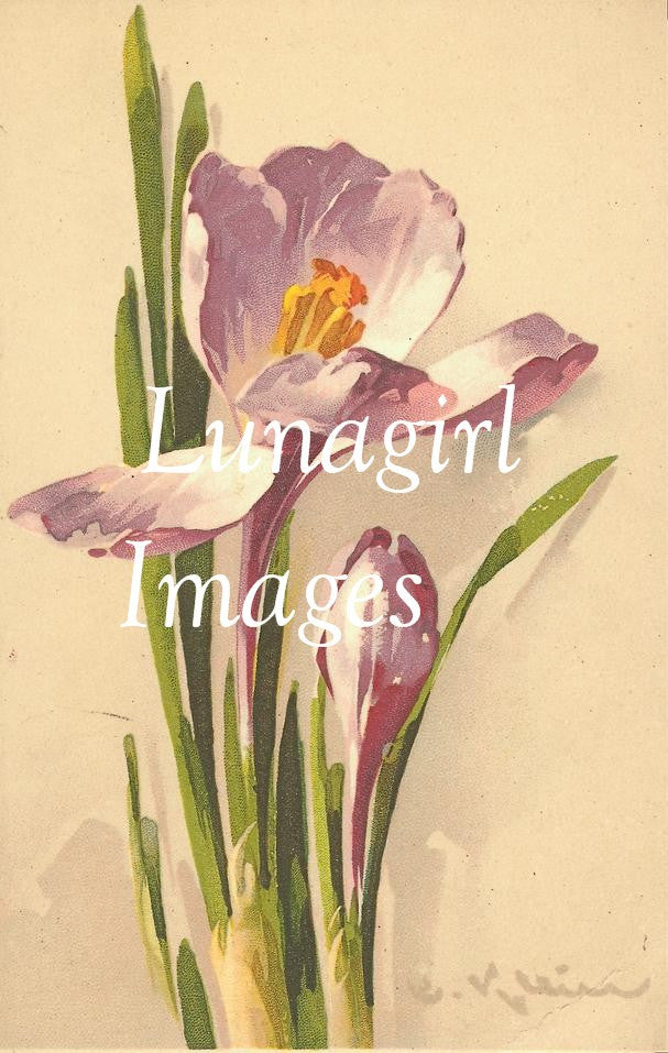 Victorian Flowers: 900 Images - Lunagirl