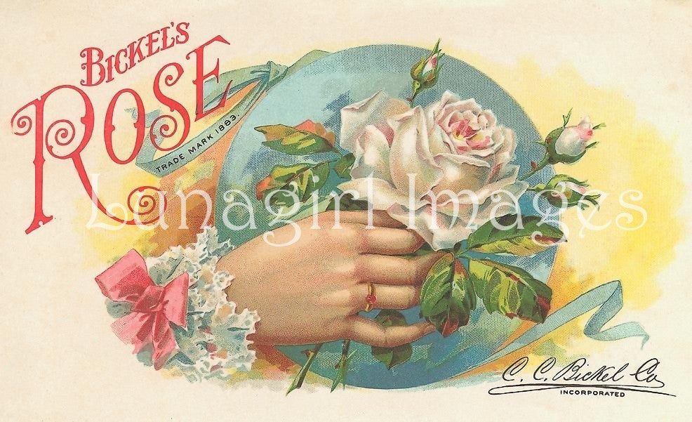 72 Vintage Victorian Pink Roses Download Pack - Lunagirl