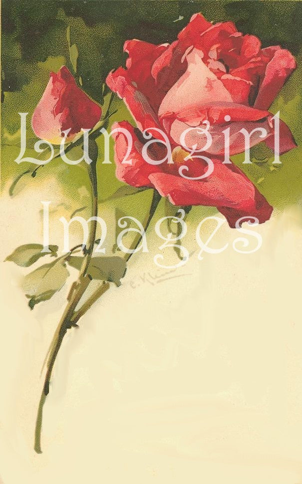 45 Vintage Victorian Red Roses Download Pack - Lunagirl