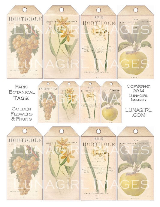 Paris Botanical Tags: Yellow Flowers & Fruit Digital Collage Sheet - Lunagirl