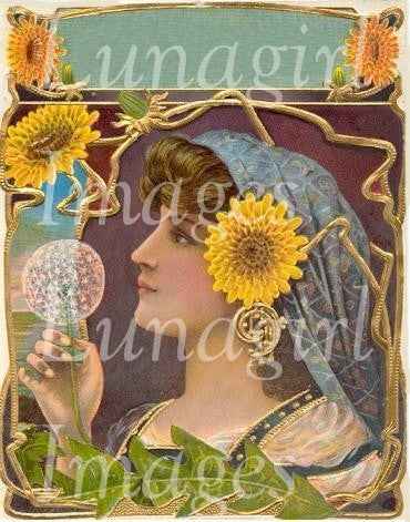 Victorian Vintage Blank Labels: 600 Labels Frames & Tags - Lunagirl