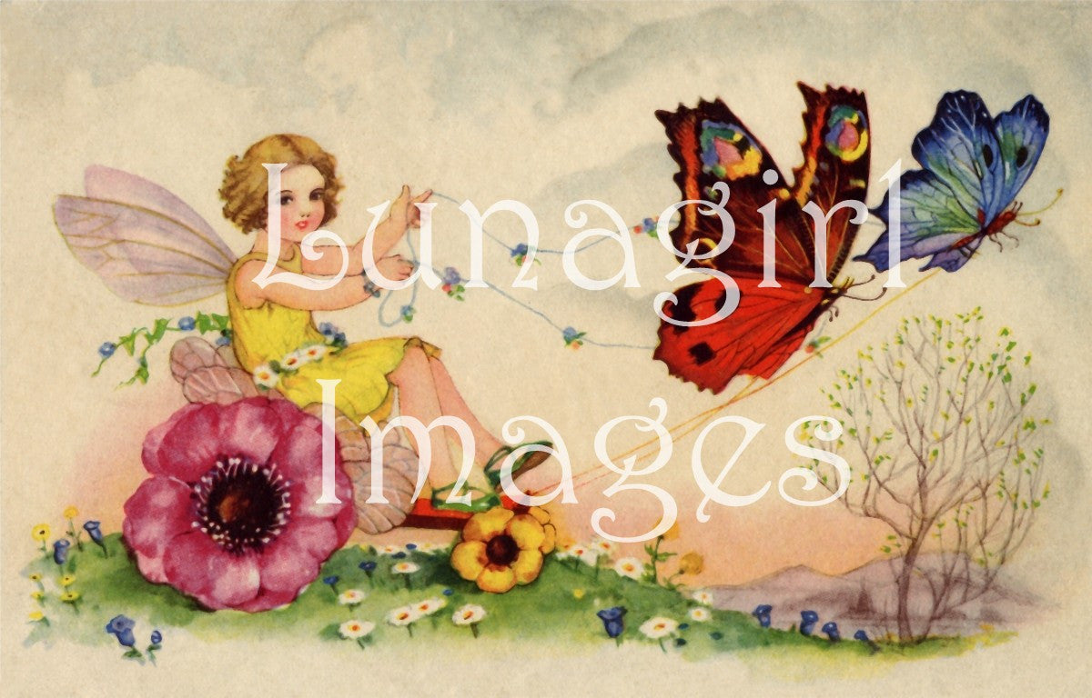 Butterflies: 250 Images - Lunagirl