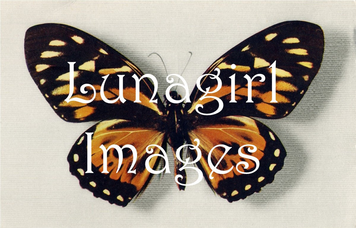 Butterflies: 250 Images - Lunagirl