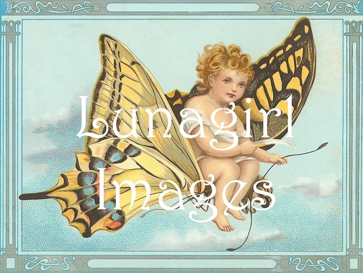 Butterflies: 250 Images - Lunagirl