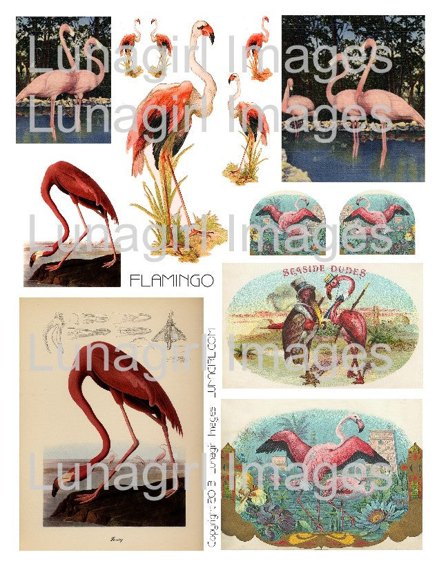 Pink Flamingo Digital Collage Sheet - Lunagirl