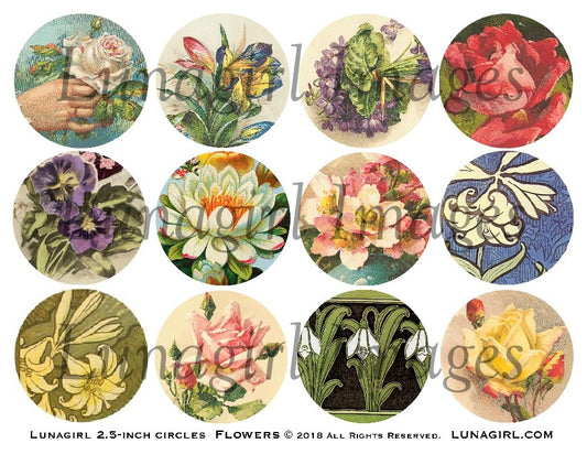 Vintage Flowers 2.5" Circles Digital Collage Sheet - Lunagirl