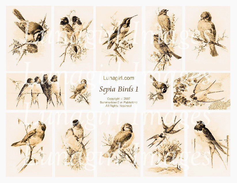 Sepia Birds #1 Digital Collage Sheet - Lunagirl