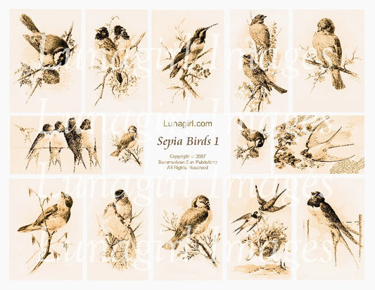 Sepia Birds #1 Digital Collage Sheet - Lunagirl