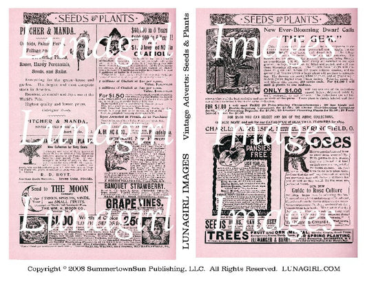 Vintage Adverts: Seeds & Plants in PINK Digital Collage Sheet - Lunagirl