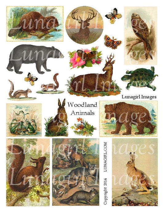 Woodland Animals Digital Collage Sheet - Lunagirl