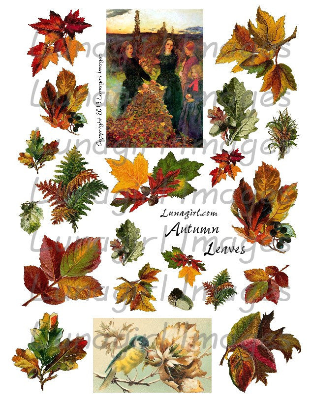 Autumn Leaves Digital Collage Sheet - Lunagirl