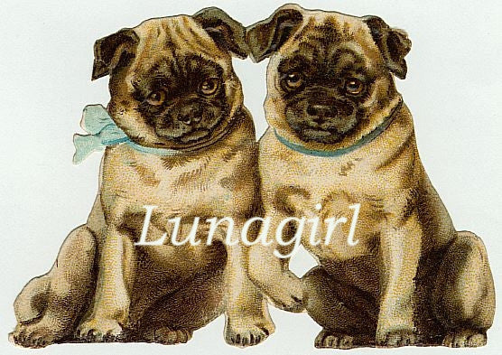 Vintage Victorian Animals: 950 Images - Lunagirl