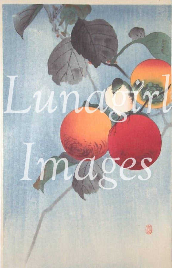 Japanese Prints & Vintage Photos: 300 Images - Lunagirl