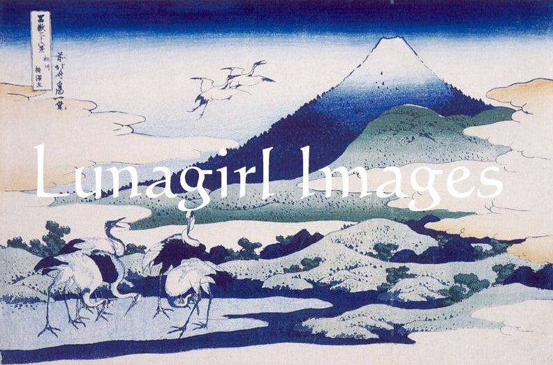 Japanese Prints & Vintage Photos: 300 Images - Lunagirl