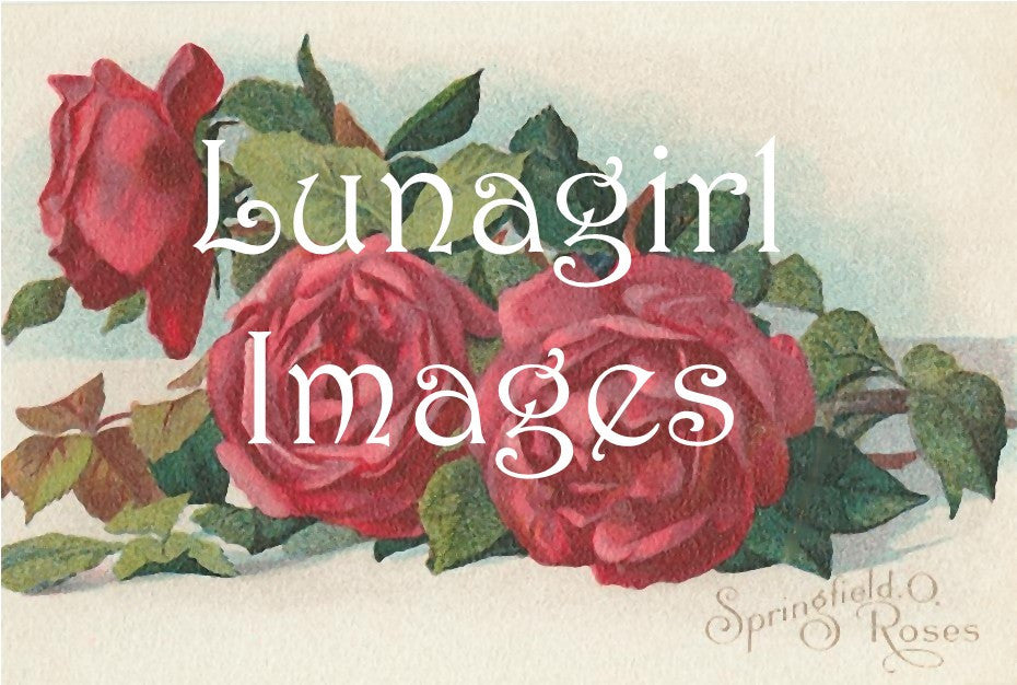 45 Vintage Victorian Red Roses Download Pack - Lunagirl