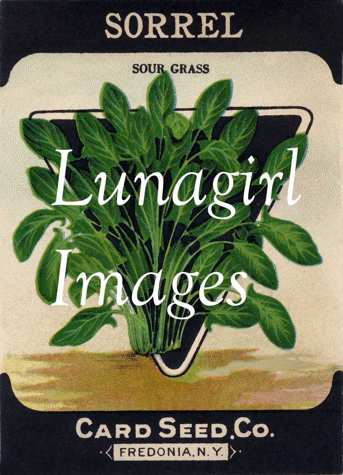 Antique Seed Packet Lithographs: 80 Images - Lunagirl