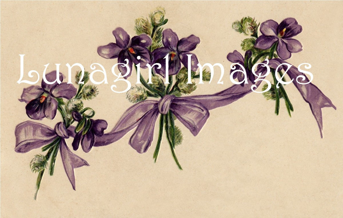 64 Violets Lilacs Pansies Purple Blue Flowers Download Pack - Lunagirl