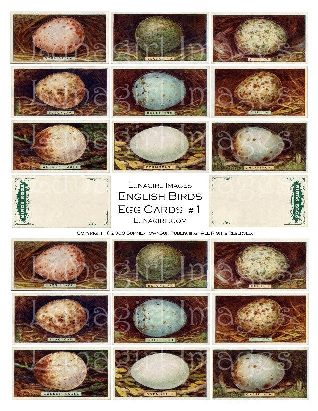 Birds Eggs Digital Collage Sheet - Lunagirl