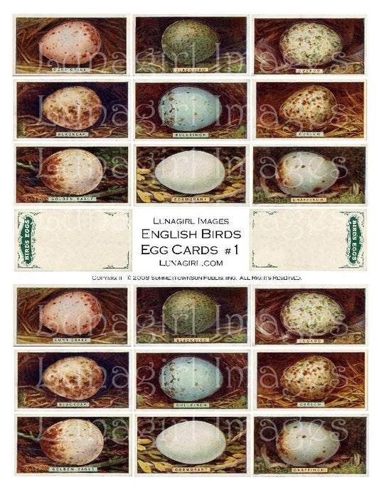 Birds Eggs Digital Collage Sheet - Lunagirl