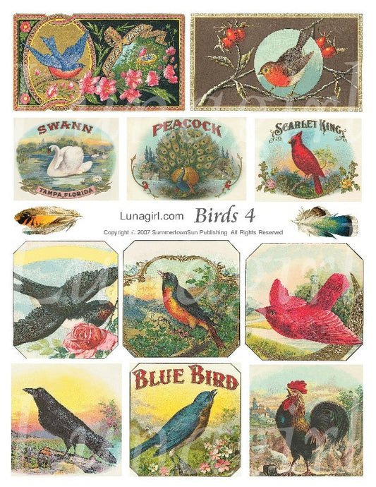 Birds #4 Digital Collage Sheet - Lunagirl