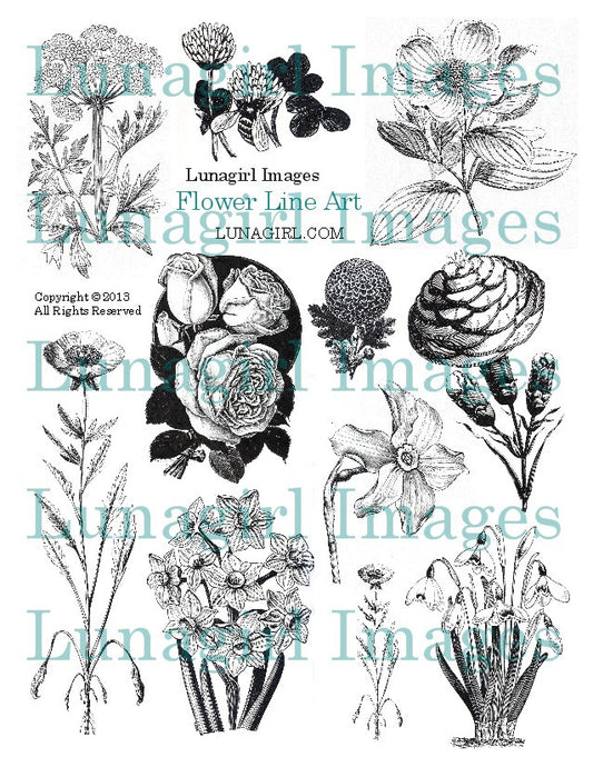 Flowers Line Art Digital Collage Sheet - Lunagirl