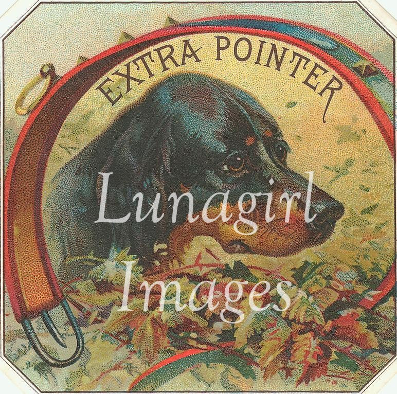 Antique Cigar Labels: 2500 Images - Lunagirl